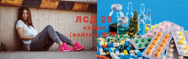 jwh Богородицк