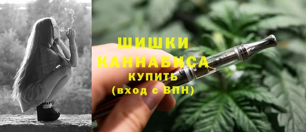 стафф Богородск
