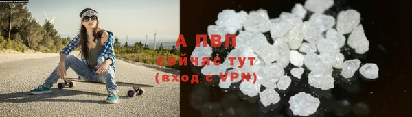 стафф Богородск