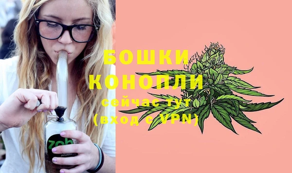 марки lsd Богданович