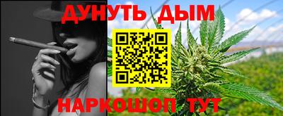 сатива Беслан