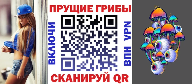 Галлюциногенные грибы Psilocybe  цены наркотик  мориарти клад  Городец 