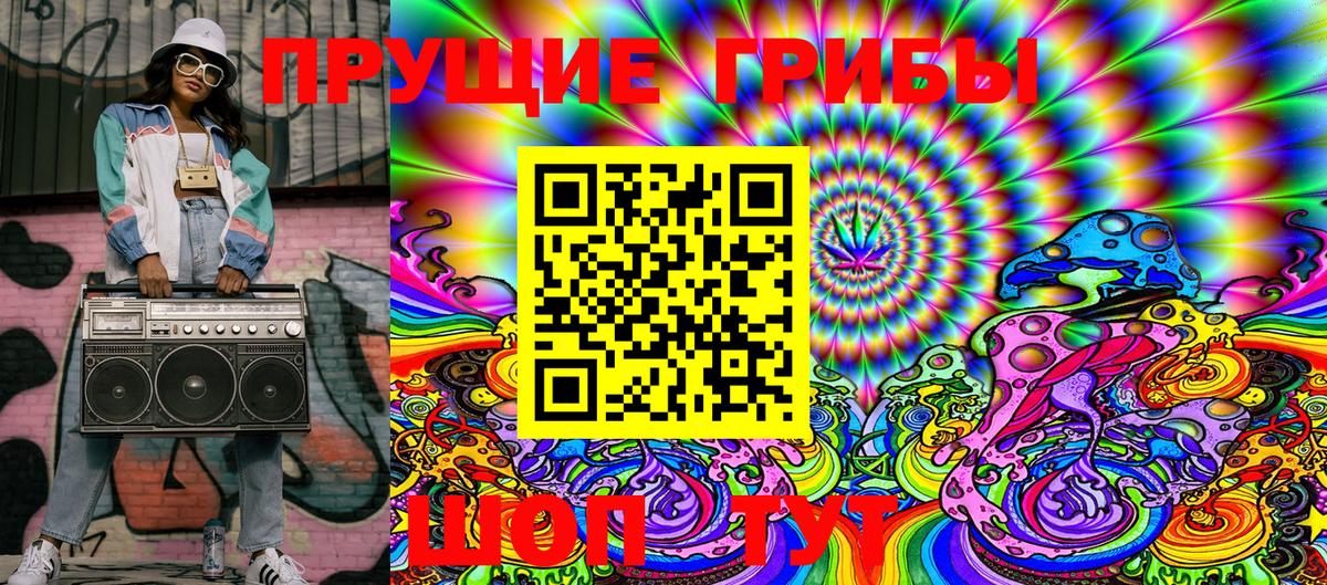 Городец  Псилоцибиновые грибы Psilocybe  Вход с VPN 