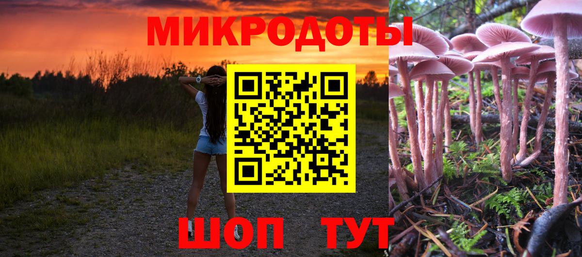 Псилоцибиновые грибы MAGIC MUSHROOMS Городец