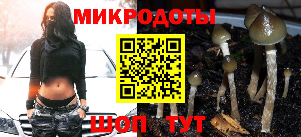 Псилоцибиновые грибы Cubensis Городец